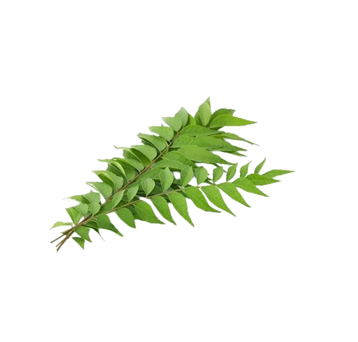 Curry Leaves / Daun kari ±100g