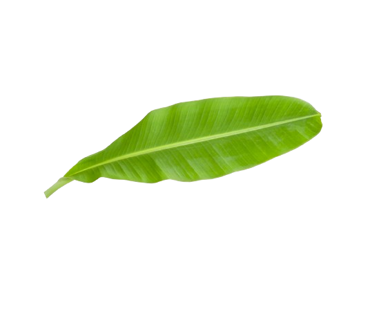 Banana Leaf 1kg