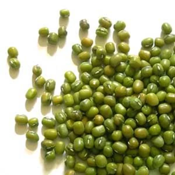 Kacang Hijau/Green Beans (Plain) 1kg