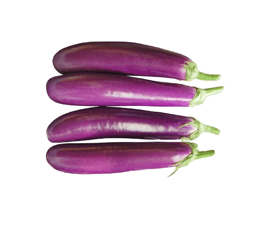 Terung Panjang/Long Eggplant 1KG