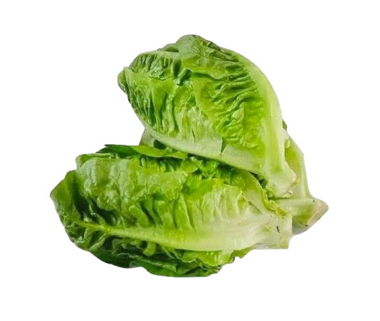 Lettuce Cameron baby 10 kg