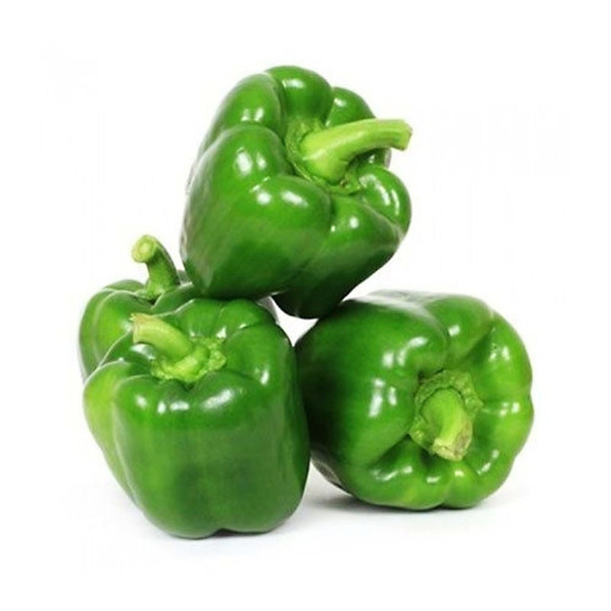 Green Bell Pepper Capsicum Lada Benggala Hijau 1kg